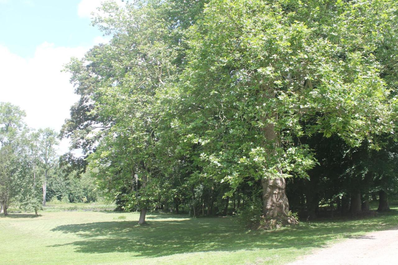 Domaine Du Plessis Bed & Breakfast Le Plessis-Luzarches Exterior foto
